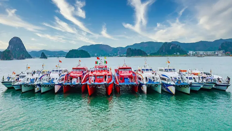 Ao Tiên - Ngọc Vừng